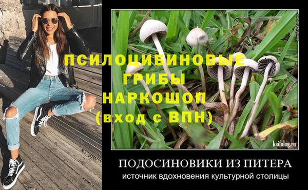МДПВ Заводоуковск