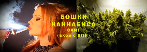 ALPHA PVP Иннополис