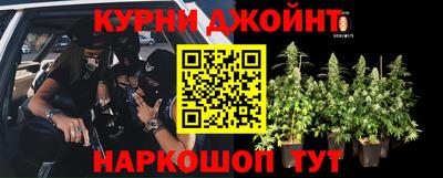 ПСИЛОЦИБИНОВЫЕ ГРИБЫ Дубна