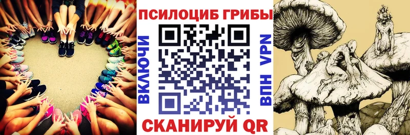 Псилоцибиновые грибы ЛСД  Северобайкальск 