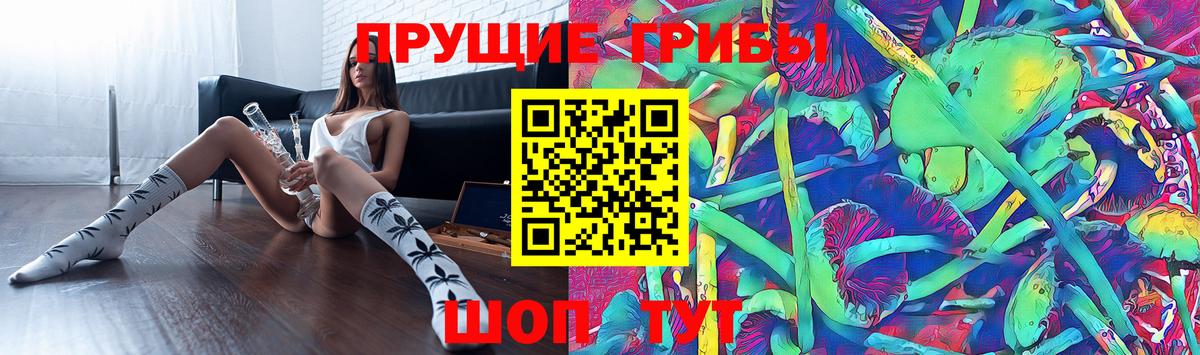 Псилоцибиновые грибы ЛСД  Вход с VPN  Северобайкальск 