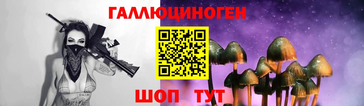 APVP Северобайкальск