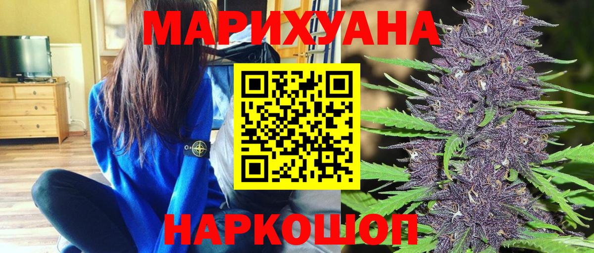 Бошки марихуана конопля Северобайкальск